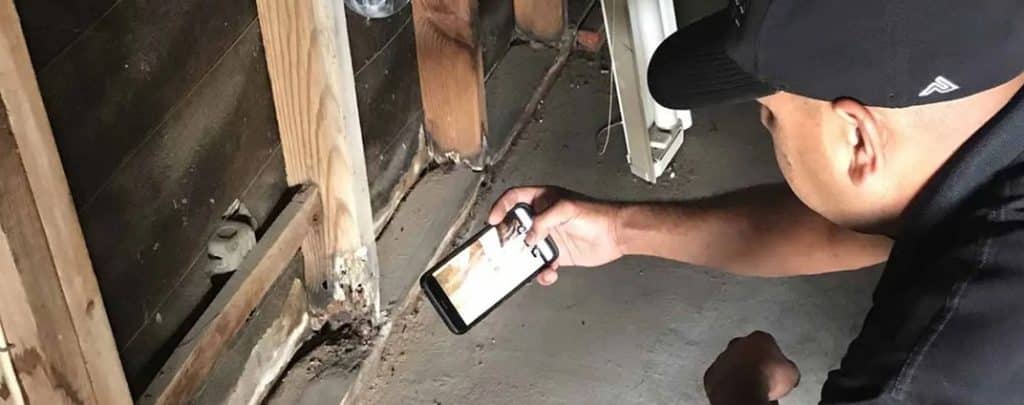 expert analyse degats de termites sur des bois à l'intérieur et les prends en photo