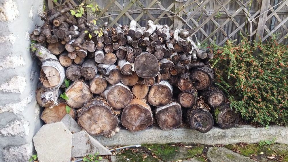 risque de termites sur des bois de chauffage stockés prés du sol
