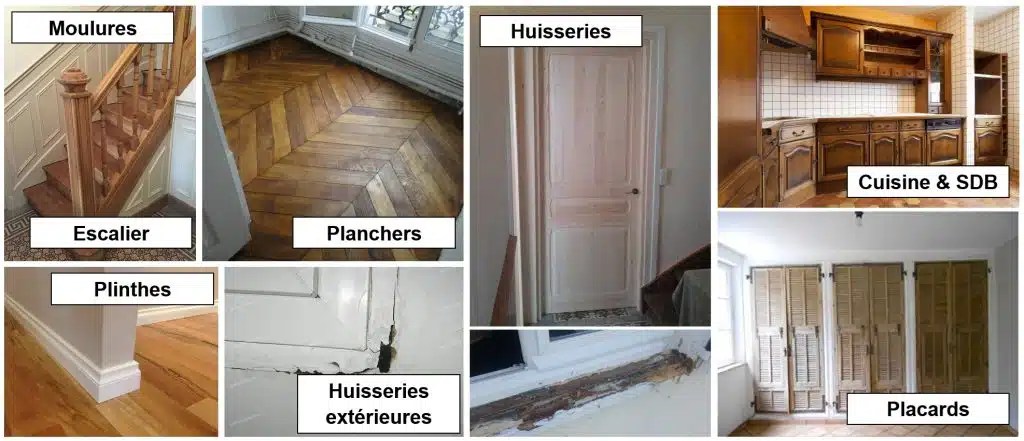 inspection des termites à l'intérieur de la maison sur les placards, les planchers, les menuiseries, les huisseries, les plinthes