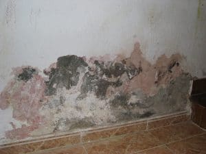 Humidité sur mur par remontées capillaires