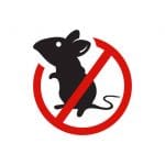image de souris interdit traitement mulots
