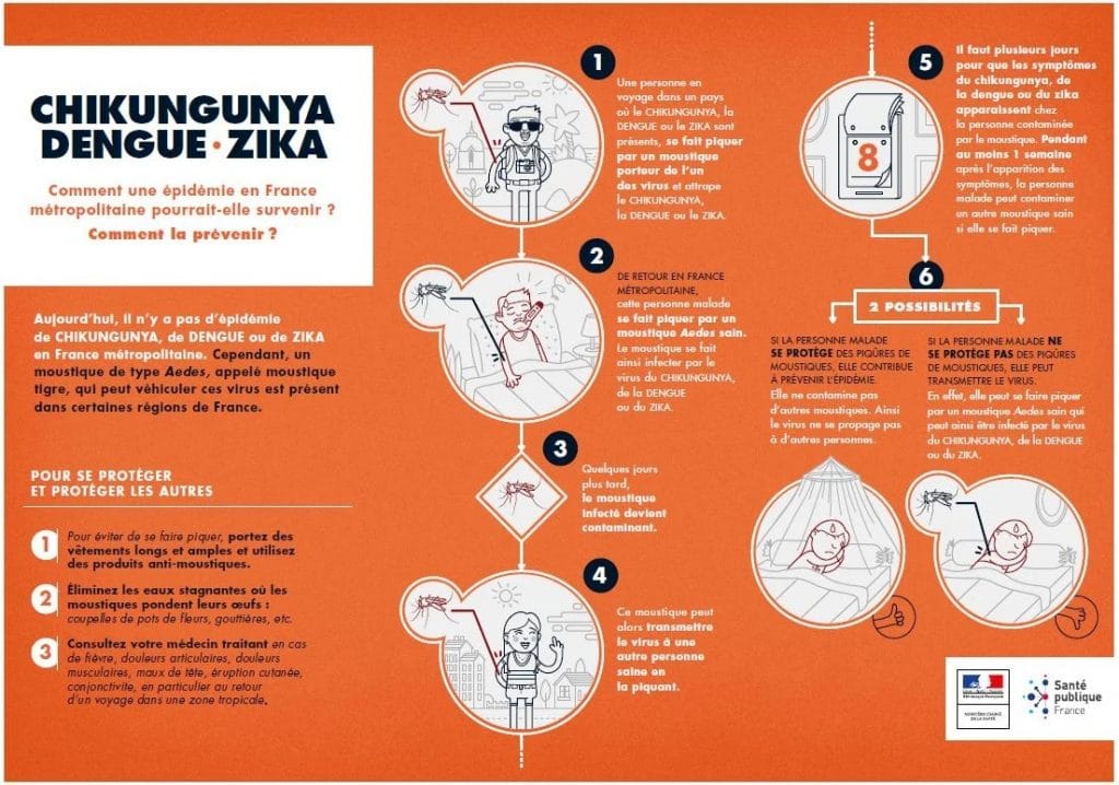 image montrant le risque de chinkunguyna dengue zika par les moustiques tigres et communs européens