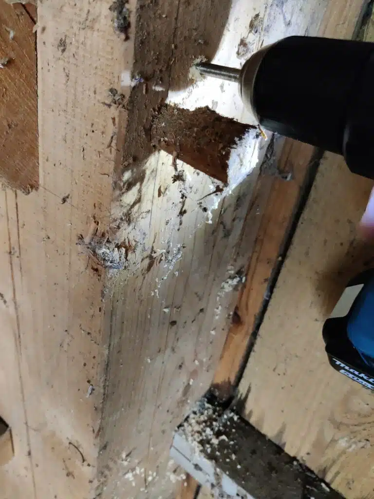 perçage d'une charpente traditionnelle avant traitement