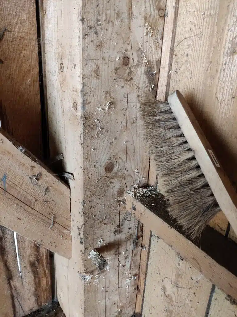 nettoyage des bois de charpente traditionnelle avant la pose d'injecteurs