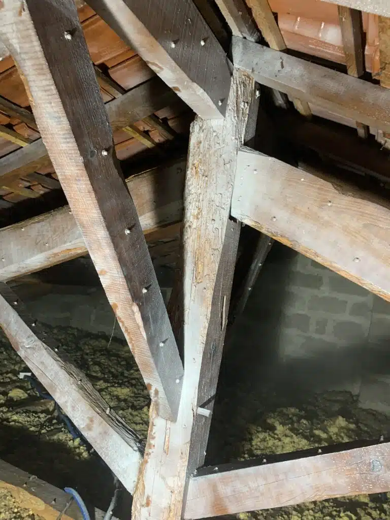 charpente traitée par pulvérisation au xilix gel curatif contre les capricornes