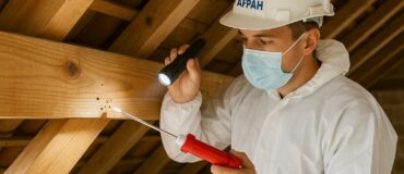 Larve de capricorne dans la charpente : indices de détection et traitement par injection AFPAH