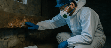 Expert mérule diagnostic inspectant poutre bois avec rapport détaillé