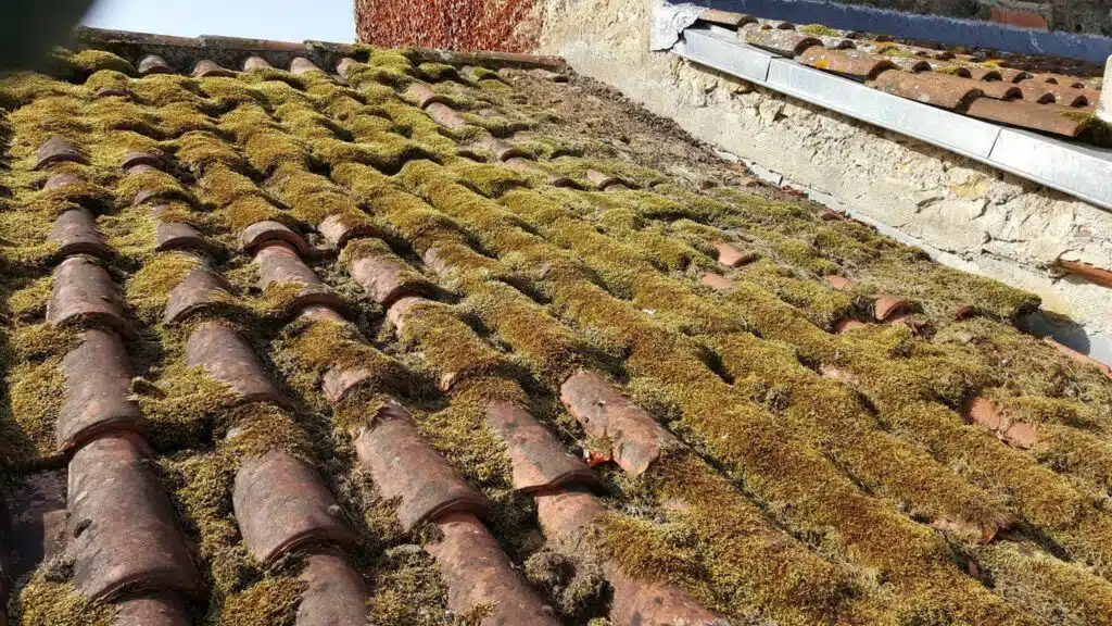 démoussage toiture aix en provence bouches du rhone traitement hydrofuge tuiles